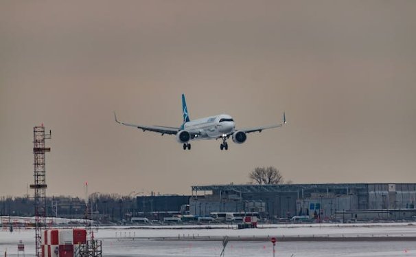 Unveiling On Board Couriers: Ensuring Timely Delivery, International Shipping, Reliable Logistics, and More